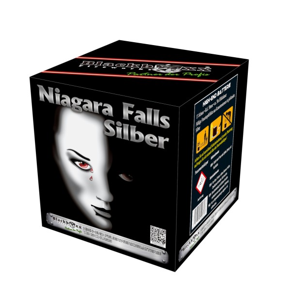 Niagara Fall silber 20801 von Blackboxx