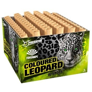 LS004497 Coloured Leopard, 72-Schuss Fächerbatterie Lesli